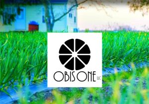 OBIS ONE Logo