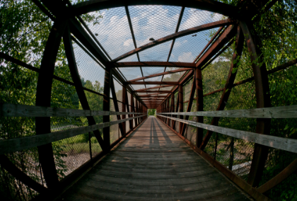 Our vibrant community